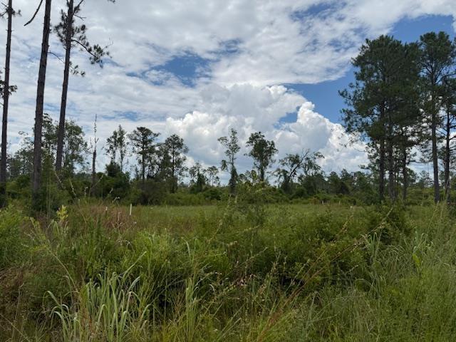 TBD Albert Hendry Rd, Greenville, FL 32331 - photo 12