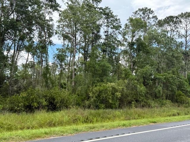 TBD Albert Hendry Rd, Greenville, FL 32331 - photo 20