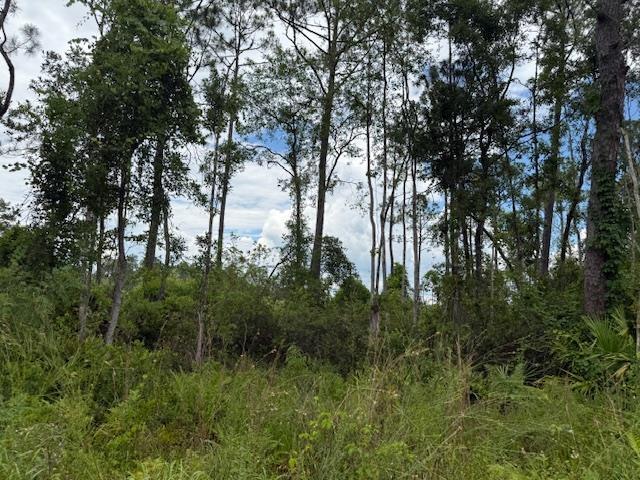 TBD Albert Hendry Rd, Greenville, FL 32331 - photo 27
