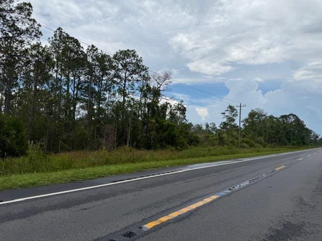 TBD Albert Hendry Rd, Greenville, FL 32331 - photo 3