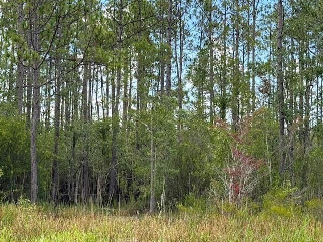 TBD Albert Hendry Rd, Greenville, FL 32331 - photo 24