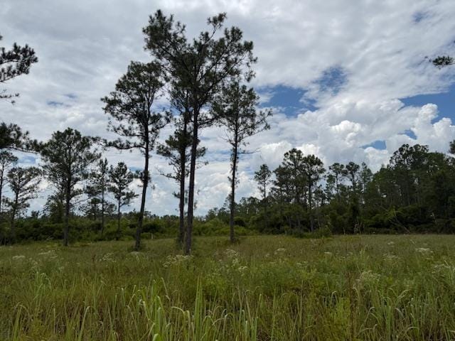 TBD Albert Hendry Rd, Greenville, FL 32331 - photo 4
