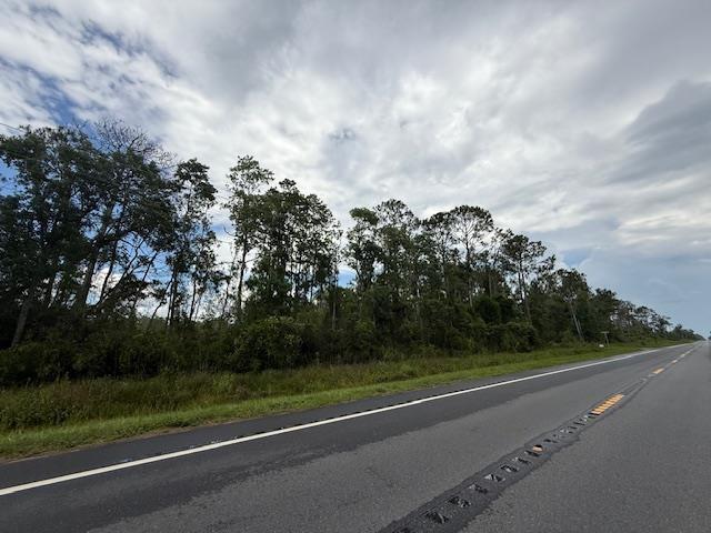 TBD Albert Hendry Rd, Greenville, FL 32331 - photo 22