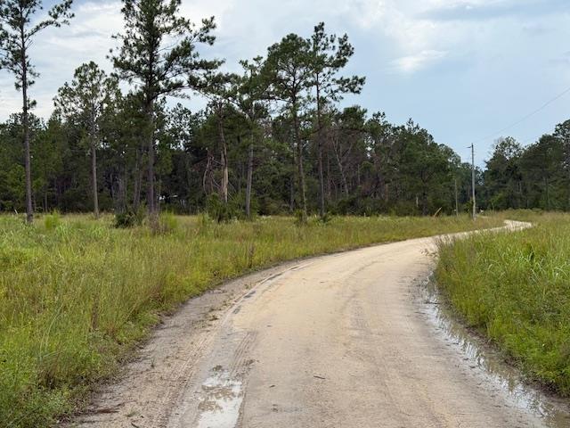 TBD Albert Hendry Rd, Greenville, FL 32331 - photo 2