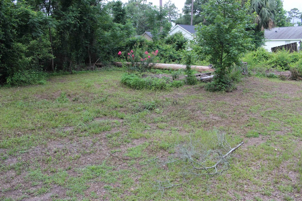 XX Chippewa, Crawfordville, FL 32327