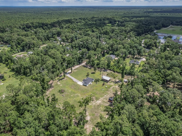 103 Pan Cera Dr, Crawfordville, FL 32327 - view of property location featuring a forest