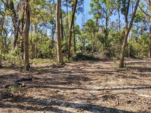 SE Stephens Ave, Madison FL, 32340 land for sale