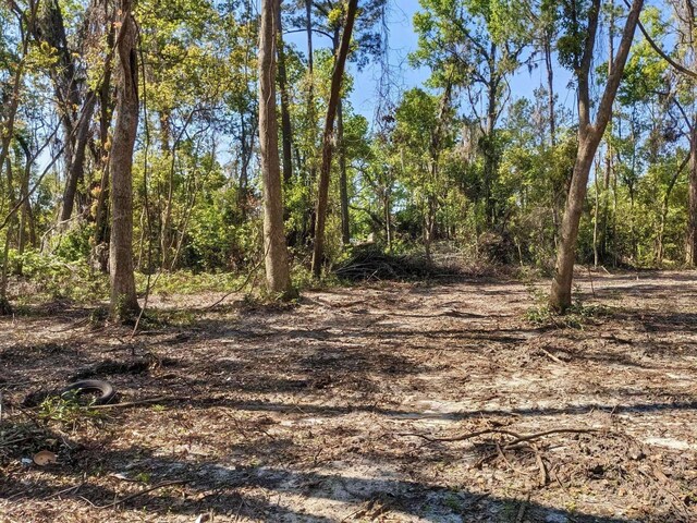 SE Stephens Ave, Madison FL, 32340 land for sale