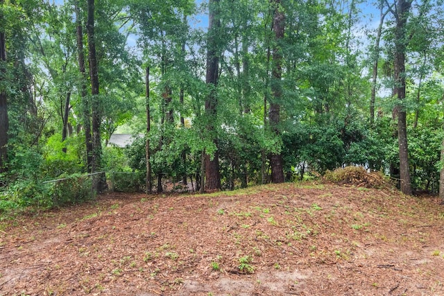 8358 Glendalin Rd, Tallahassee, FL 32311 - photo 37