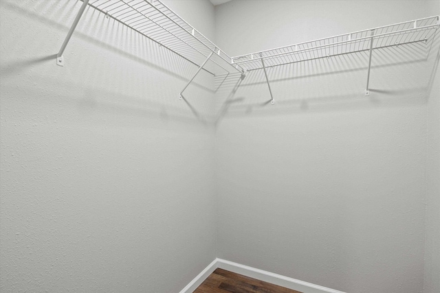 walk in closet featuring dark wood-style flooring