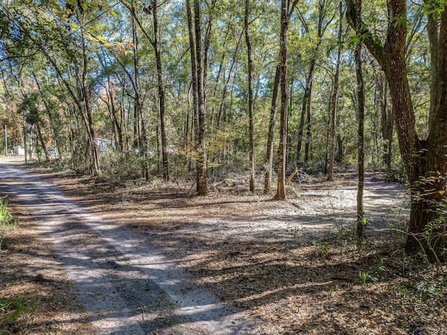 XX Keerns Dr, Crawfordville FL, 32327 land for sale