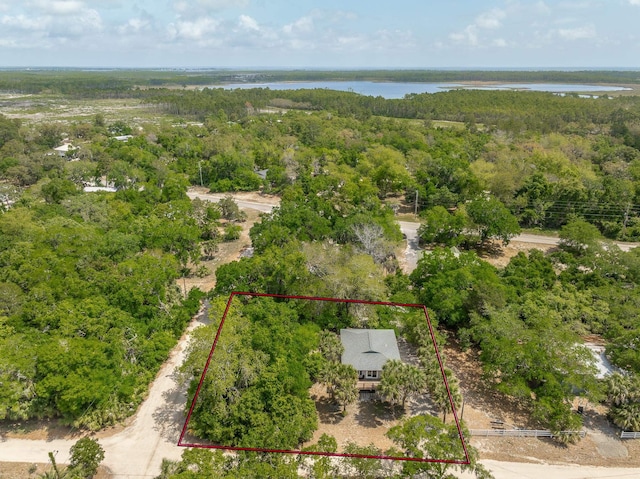 627 Mariner Cir, Alligator Point, FL 32346 - aerial view of property's location featuring a forest, a large body of water, and property boundaries highlighted