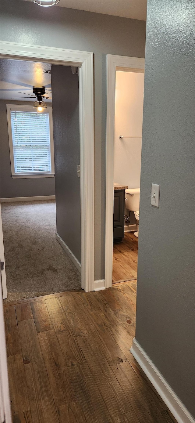 corridor featuring hardwood / wood-style floors