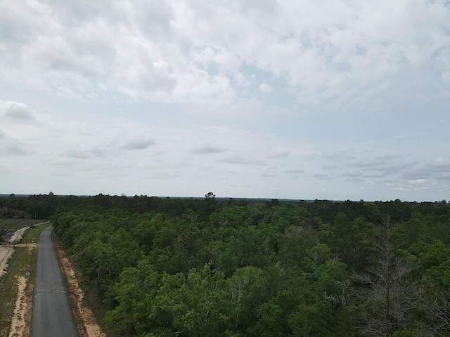 0 Central Rd, Midway, FL 32344 - photo 7