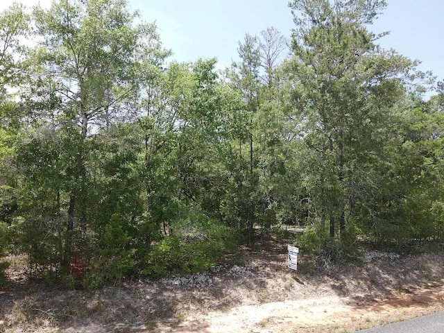 0 Central Rd, Midway, FL 32344 - photo 4