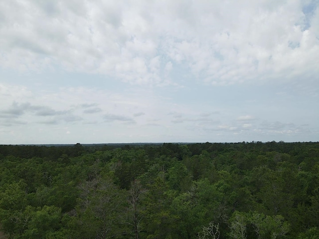 0 Central Rd, Midway, FL 32344 - photo 9