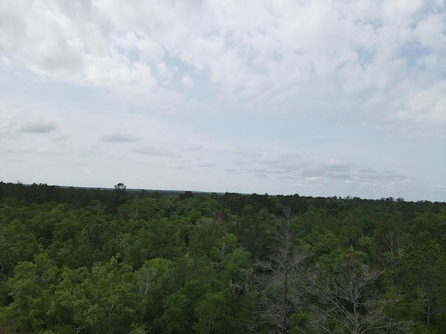 0 Central Rd, Midway, FL 32344 - photo 11
