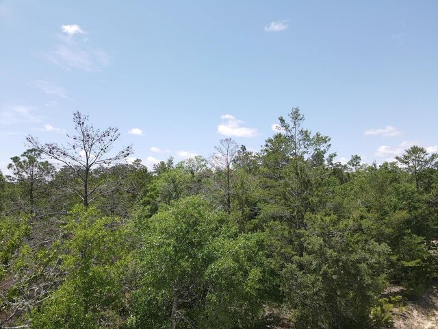 0 Central Rd, Midway, FL 32344 - photo 6