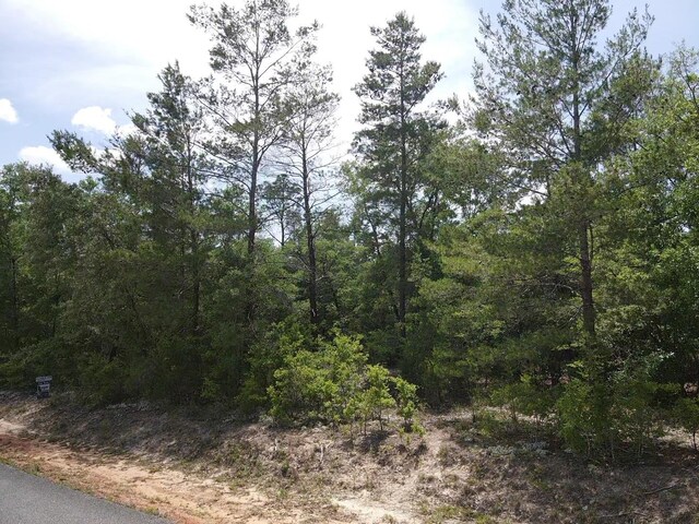 0 Central Rd, Midway, FL 32344 - photo 5