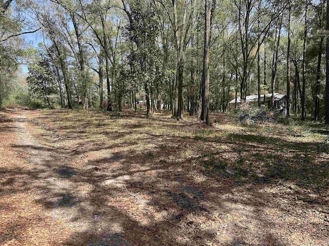 0 Talquin Cove Rd, Tallahassee, FL 32310 - photo 6