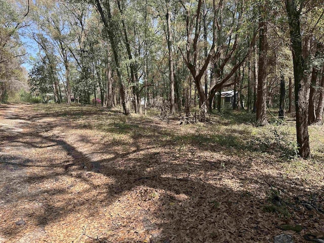 0 Talquin Cove Rd, Tallahassee, FL 32310 - photo 8