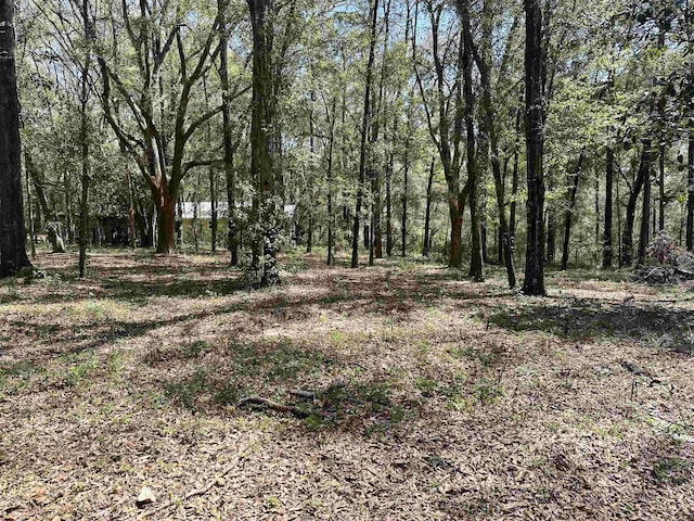 0 Talquin Cove Rd, Tallahassee, FL 32310 - photo 7