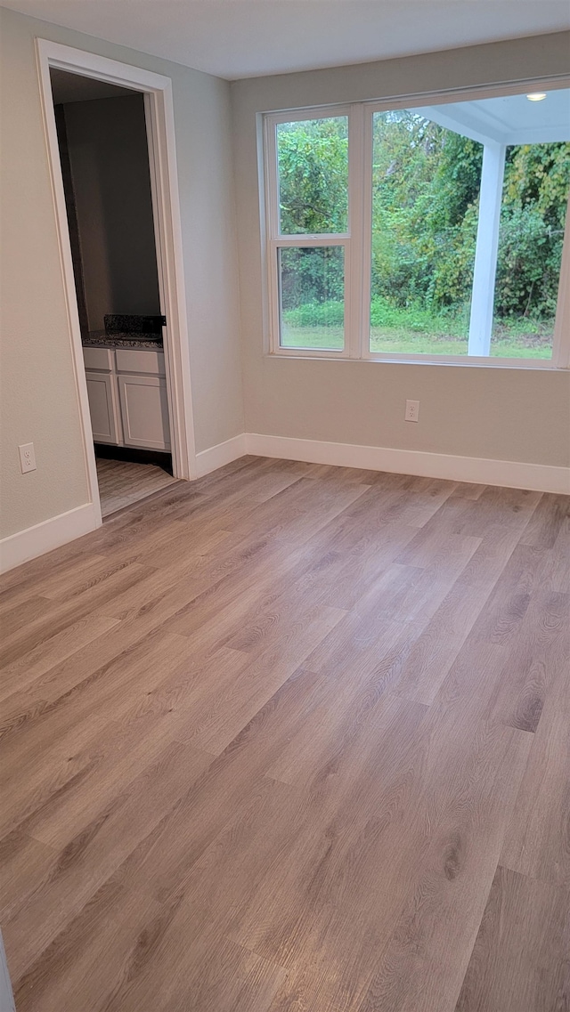 unfurnished room featuring light wood-type flooring