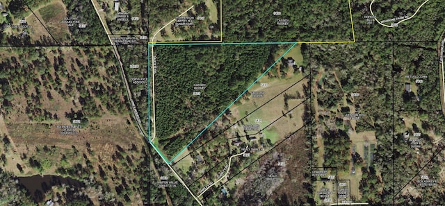 1310 Piney Woods Rd, Monticello FL, 32344 land for sale