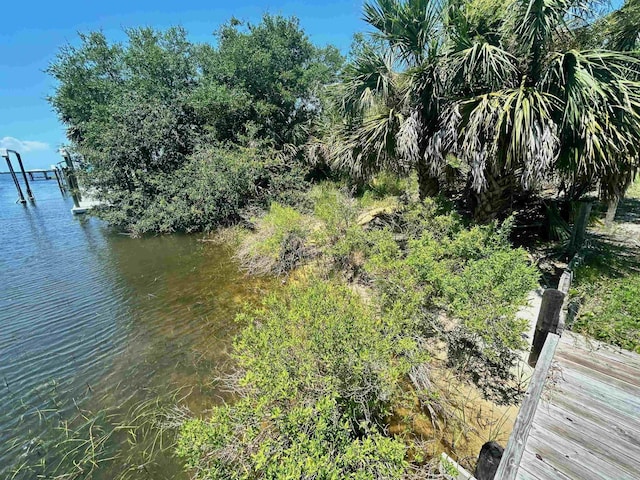 Blue Crab Ln, Panacea, FL 32346