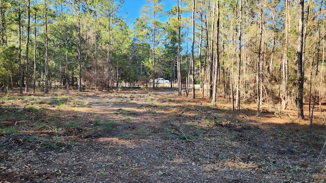 Listing photo 2 for 16653 Blountstown Hwy, Tallahassee FL 32310