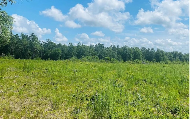 Beulah Church Rd, Lee FL, 32059 land for sale