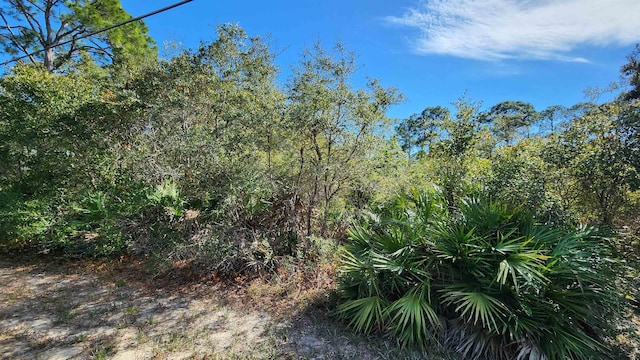 LOT19 Monocoupe Dr, Panacea FL, 32346 land for sale