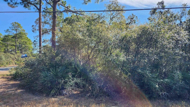 Listing photo 3 for LOT19 Monocoupe Dr, Panacea FL 32346