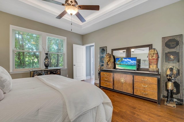 3260 Coneflower Dr, Tallahassee, FL 32311 - bedroom featuring dark wood-type flooring, a tray ceiling, and a ceiling fan