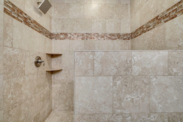 3260 Coneflower Dr, Tallahassee, FL 32311 - bathroom view of tiled shower