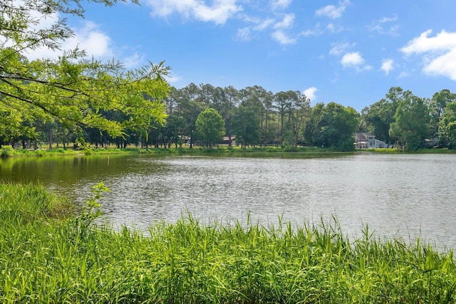 6557 Alan A Dale Trl, Leon, FL 32309 - water view