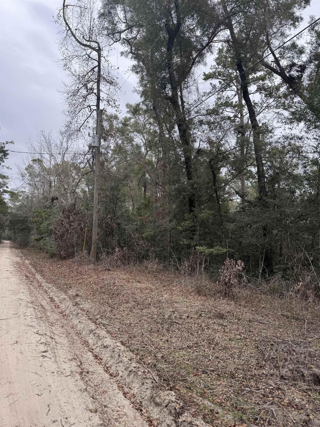 LOT16 Neeley Rd, Crawfordville, FL 32327 - photo 3