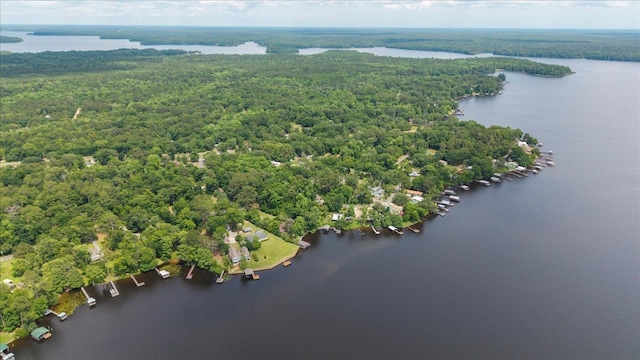 436 Tharpe Cir, Quincy, FL 32351 - bird's eye view of a nearby body of water