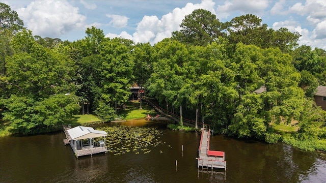 436 Tharpe Cir, Quincy, FL 32351 - dock with a water view
