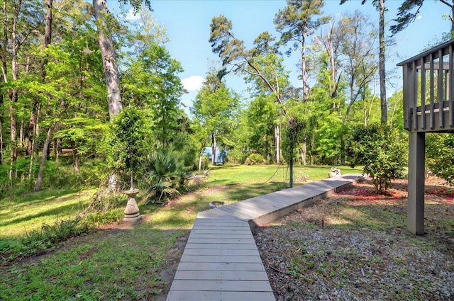 view of yard