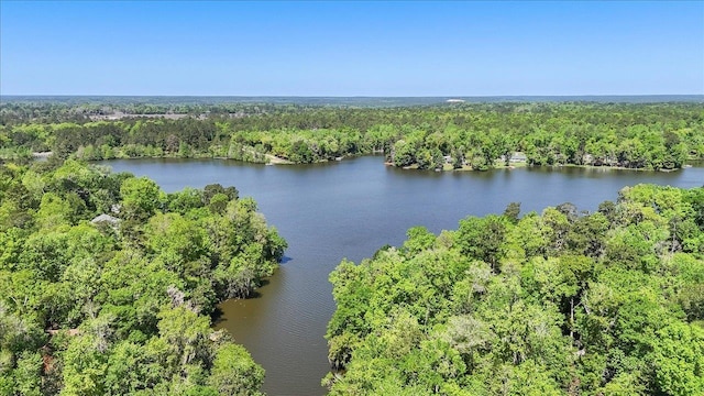 drone / aerial view featuring a water view and a forest view