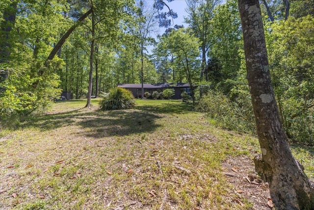 view of yard with a wooded view