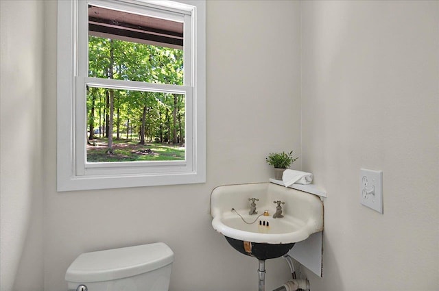 half bath with a sink, toilet, and a wealth of natural light