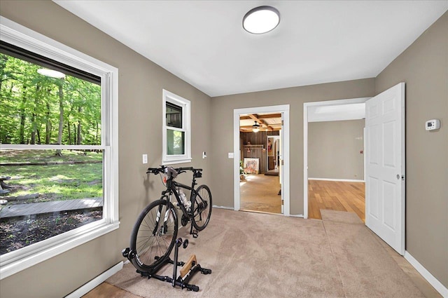 workout room featuring baseboards and carpet floors