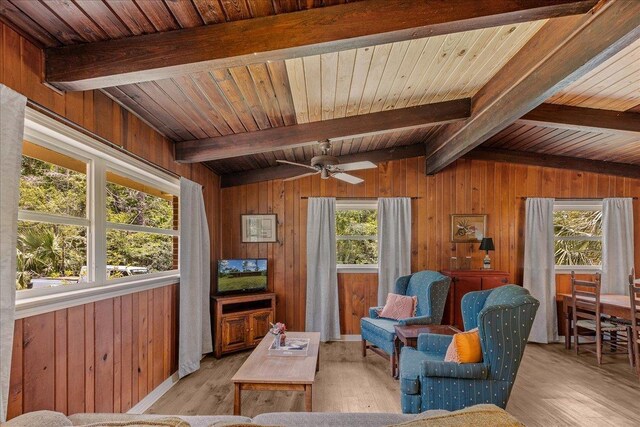 interior space featuring lofted ceiling with beams, ceiling fan, a healthy amount of sunlight, and wood ceiling