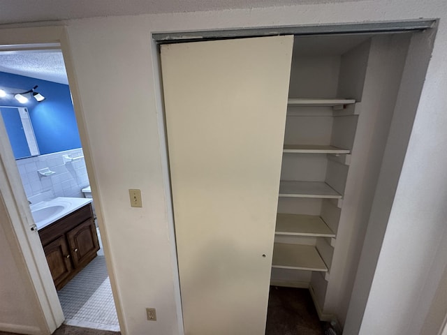 closet featuring sink