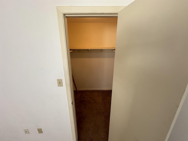view of walk in closet