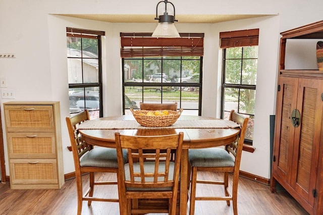 1839 Meriadoc Rd, Tallahassee, FL 32303 - dining space featuring light wood-style flooring and healthy amount of natural light