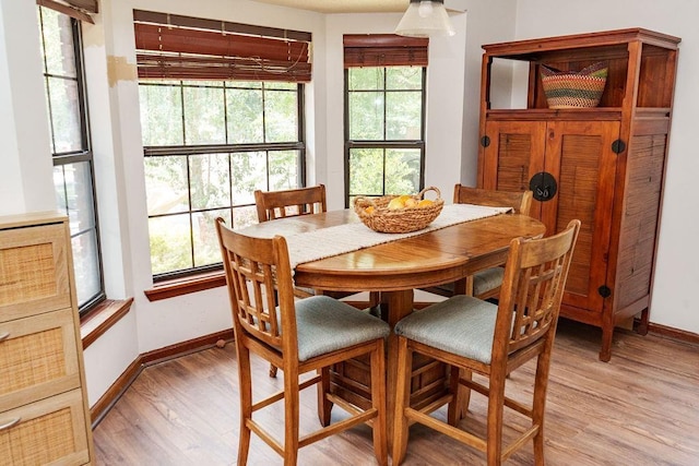 1839 Meriadoc Rd, Tallahassee, FL 32303 - dining space featuring light wood-type flooring and plenty of natural light