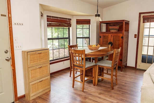 1839 Meriadoc Rd, Tallahassee, FL 32303 - dining area featuring light wood-style floors and baseboards